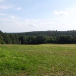 Wielkopolski Park Narodowy