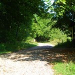 Wielkopolski Park Narodowy