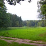 Wielkopolski Park Narodowy