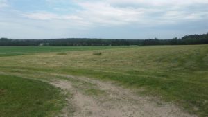 Wielkopolski Park Narodowy - Pętla Komornicka