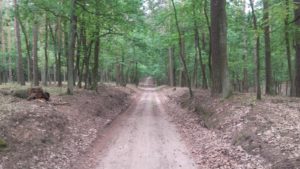 Wielkopolski Park Narodowy - Pętla Komornicka