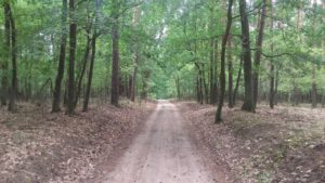 Wielkopolski Park Narodowy - Pętla Komornicka