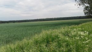 Wielkopolski Park Narodowy - Pętla Komornicka